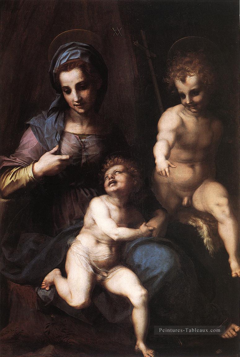 Vierge à l’Enfant avec la jeune renaissance maniérisme Andrea del Sarto Peintures à l'huile